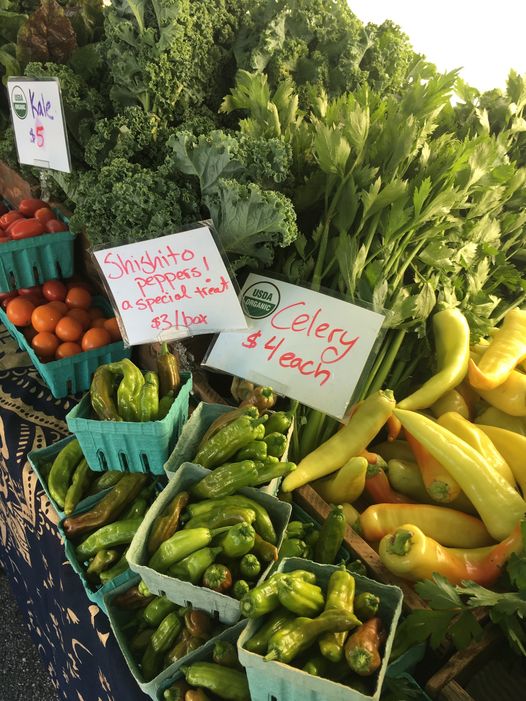 Tamworth Farmers' Market