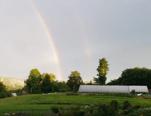 NEW ACCEPTANCE SITE IN SULLIVAN COUNTY: Bascom Farm