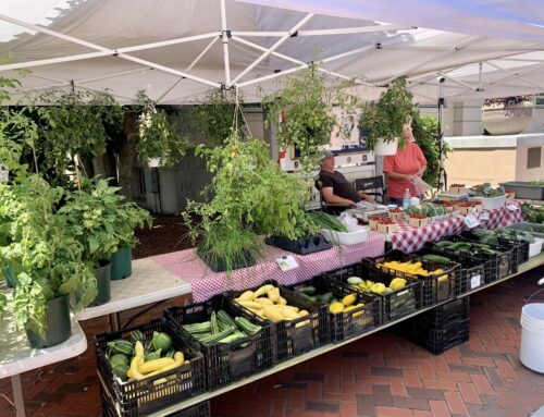 RETURNING ACCEPTANCE SITE: Nashua Farmers’ Market